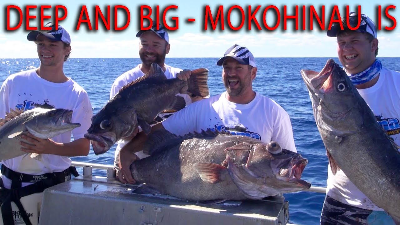 Fishing for Hapuka, Bass, Yellow tail Kingfish and Marlin at the Mokohinau Is Haurkai Gulf NZ