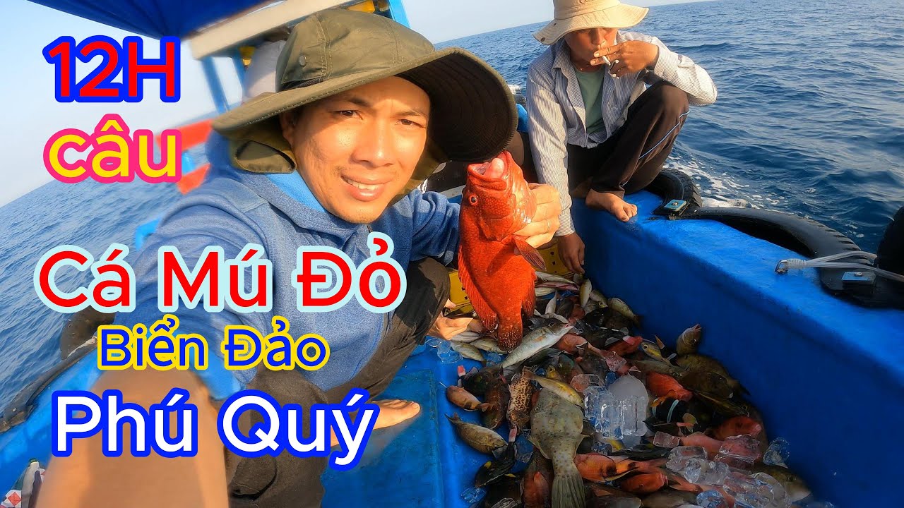 Fishing for Red Grouper and Many Strange Fish Species Off the Coast of Phu Quy Island /part 2