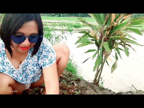 Fishing mania,mancing sore SARANG ikan putih muncul