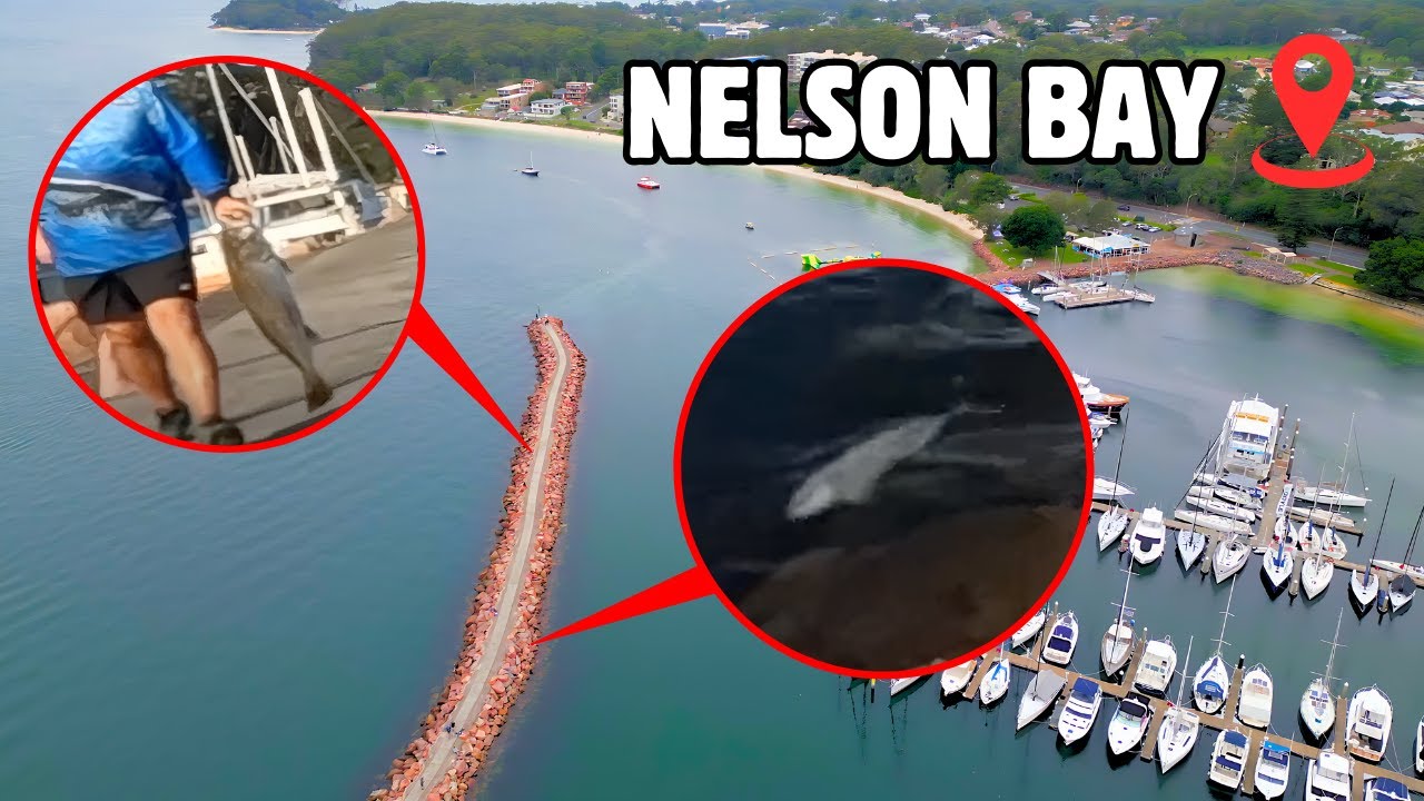 Fishing Nelson Bay Breakwall - They caught a KINGY and A JEWIE!