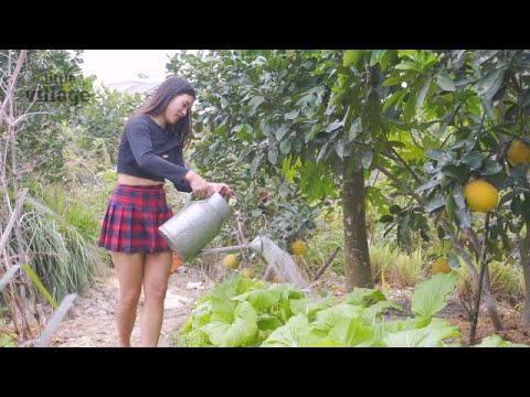 Fishing with baked soil - Julia Daily Life