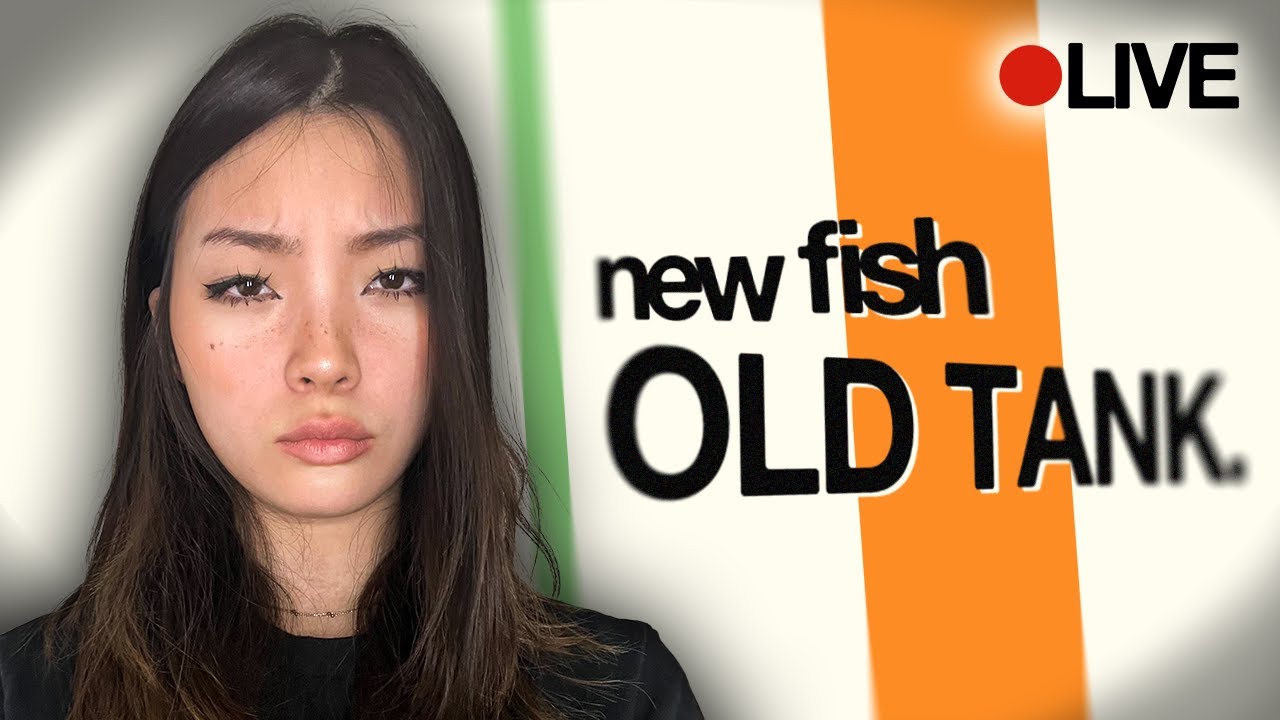 fishtank s4 | Meet the Fish 🔴 LIVE FEED - DAY 1