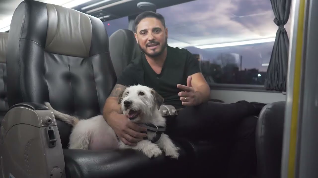 Flecha Bus hace historia: ¡Viajes cómodos y seguros con tu animalito! 🐶🐱🚌