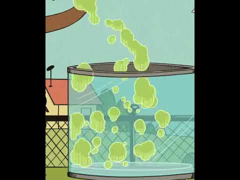 Flip (The Loud House) Water Inflation