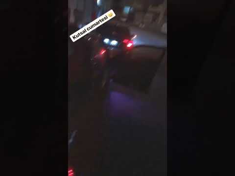 Fluance bass alkol snapi