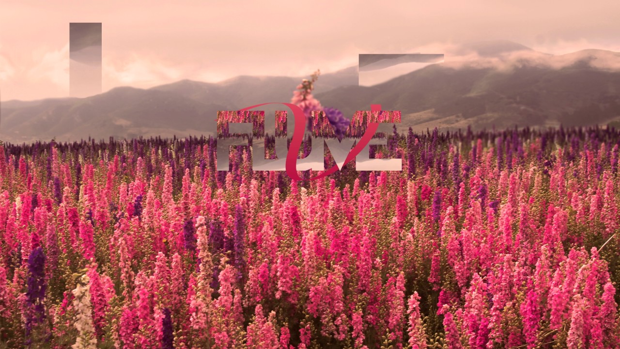 Flume - Brain Melt