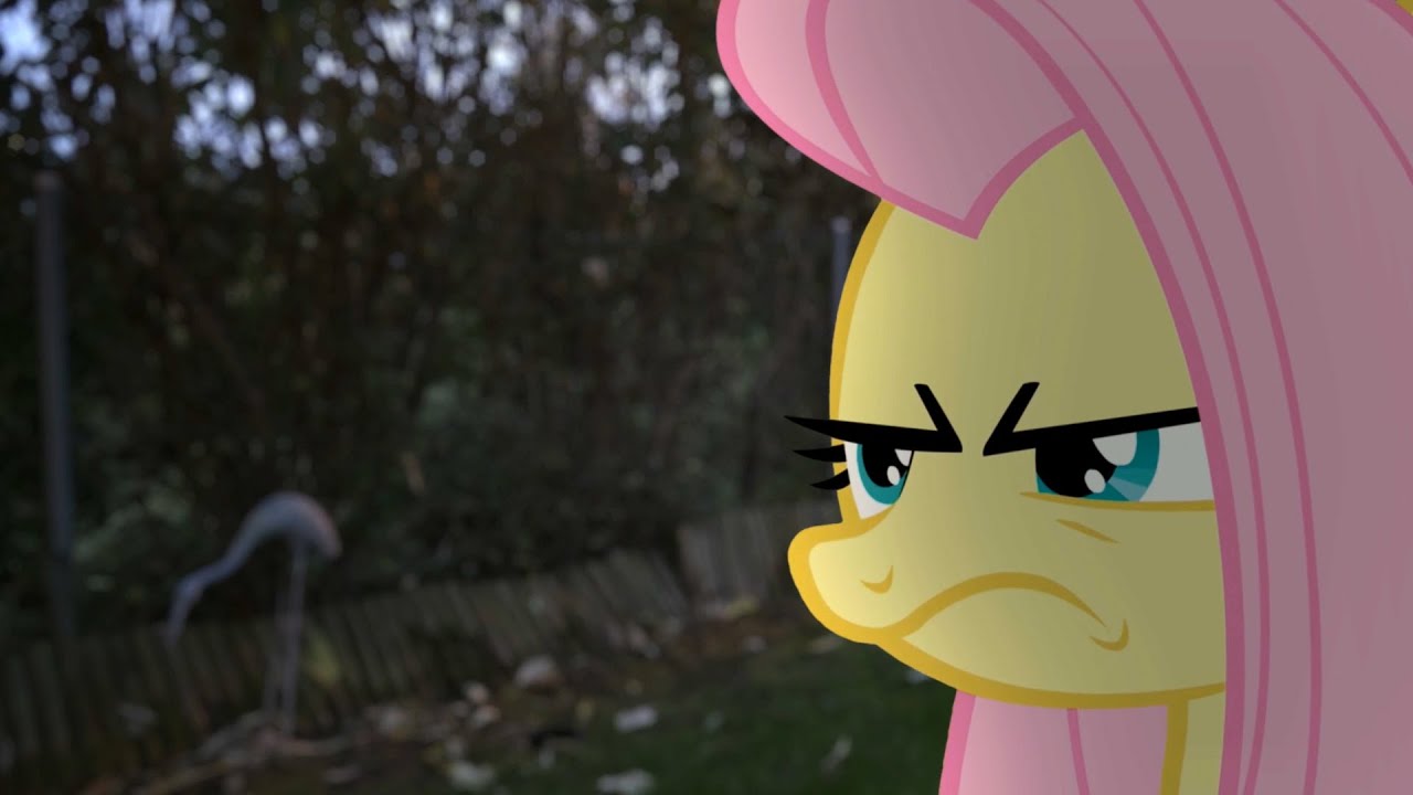 Fluttershy (MLP in real life)