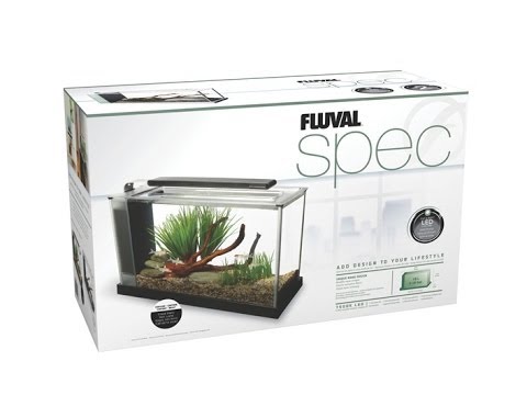 Fluval Spec 5 Aquarium ~ Dirted Tank Substrate Setup