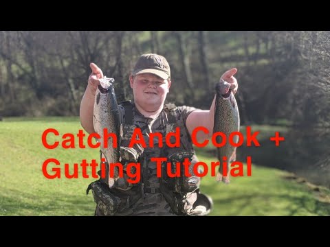 Fly Fishing - Rainbow Trout Catch And Cook - Bigwells Fly Fishery