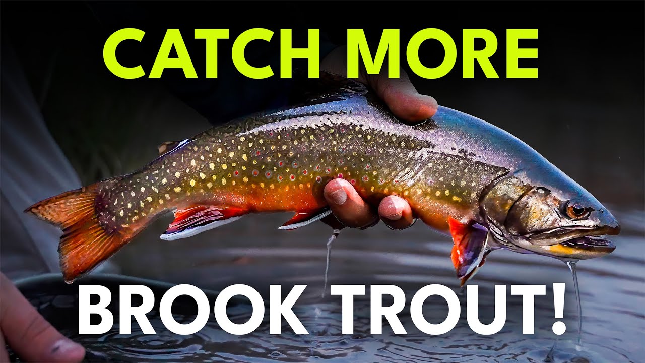 Fly Fishing for Brook Trout: The Complete Guide | Ep. 123