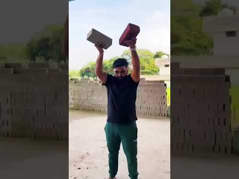 flyash bricks  vs red bricks