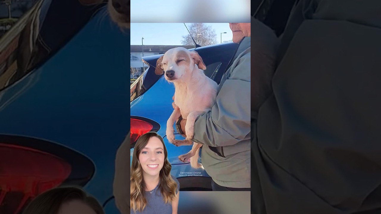 Flying sausage saves dog's life just in time 😳