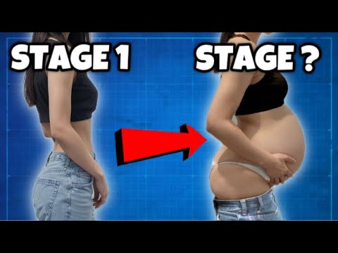 FOOD BABY BELLY STAGES