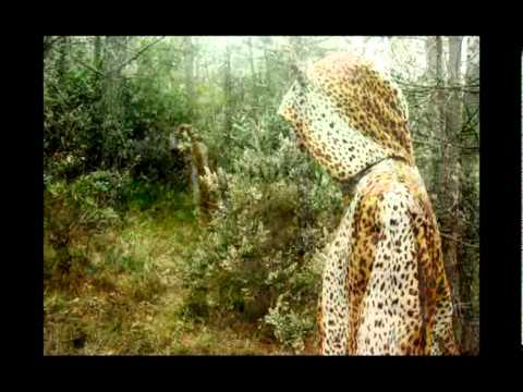 ''Forest'' by Ecem Akbin