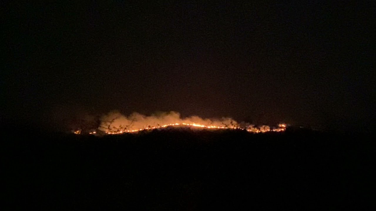 Forest fire 20 June 2021