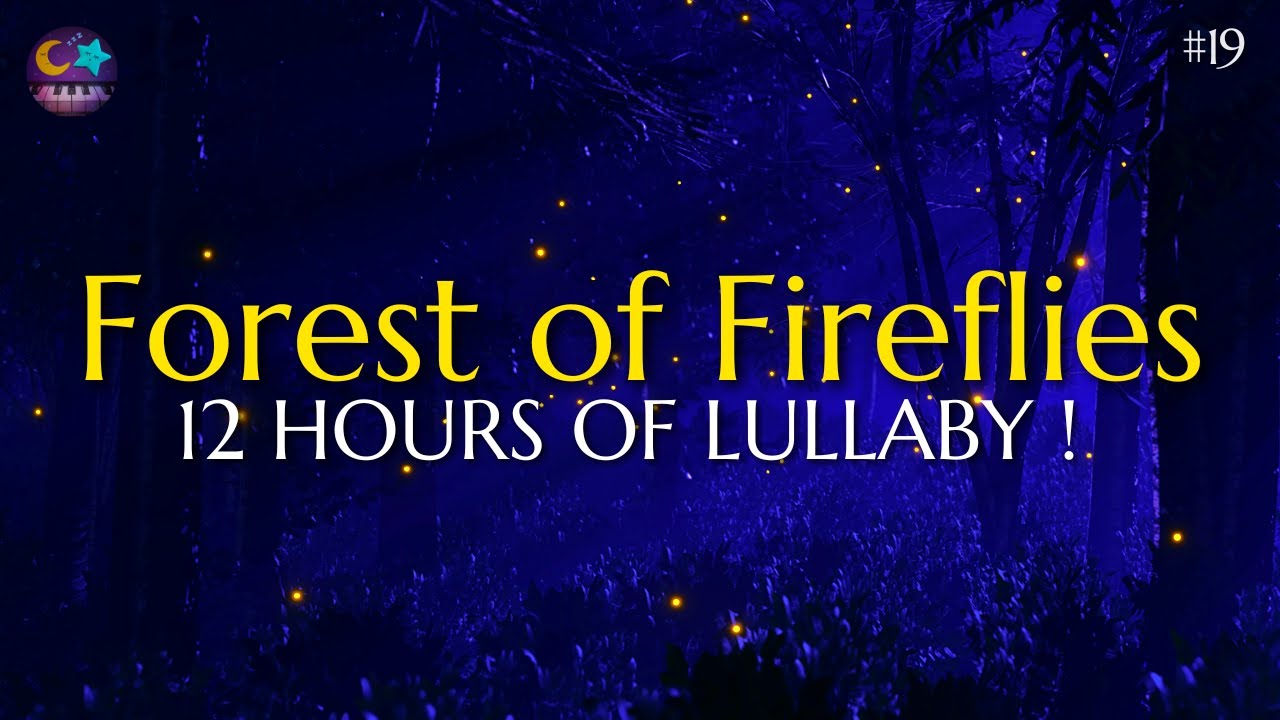 Forest of Fireflies Light - Lullaby for babies to go to sleep - Lullaby songs #19