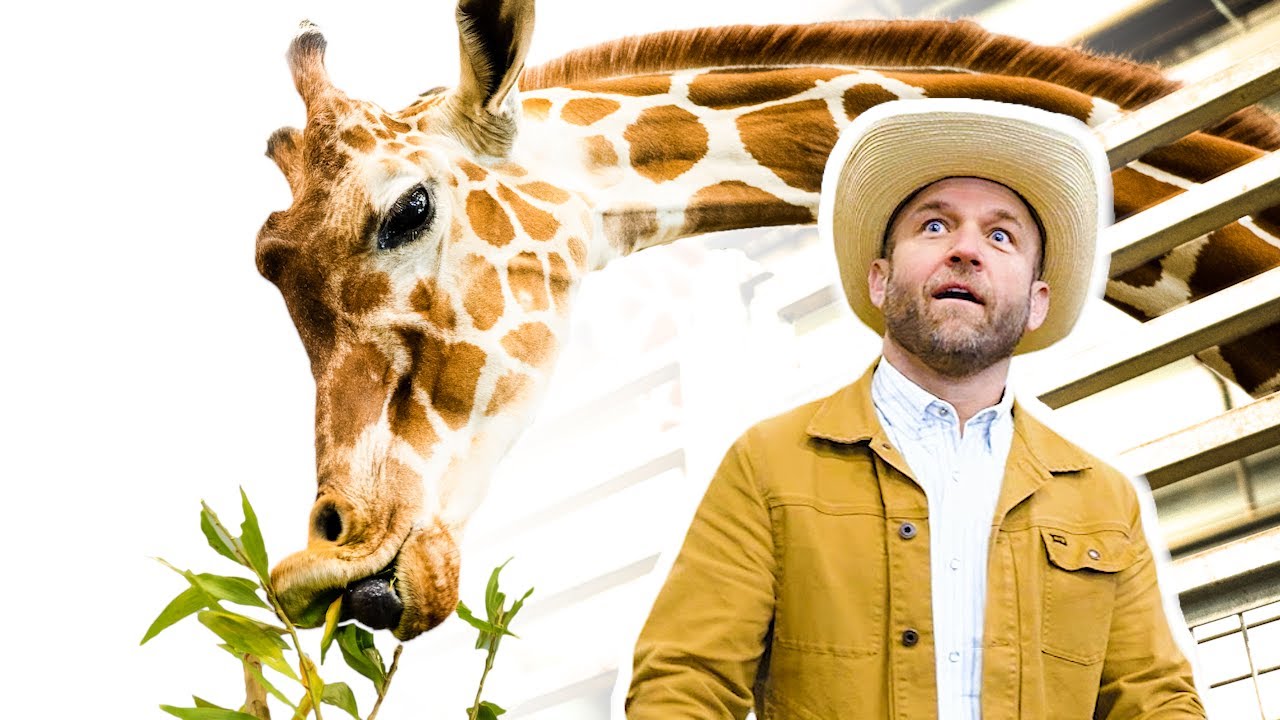 Fort Worth Zoo - is it the Best  Zoo in Texas? 🦁