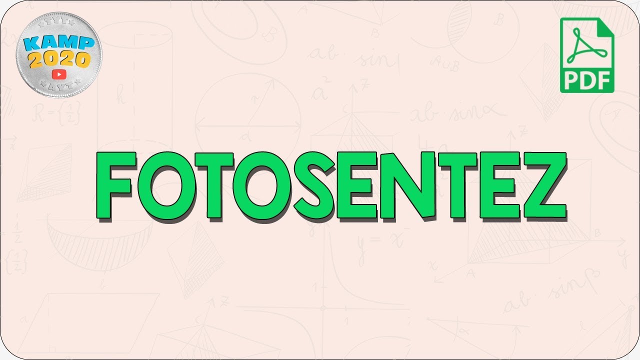 Fotosentez | AYT Biyoloji 2020