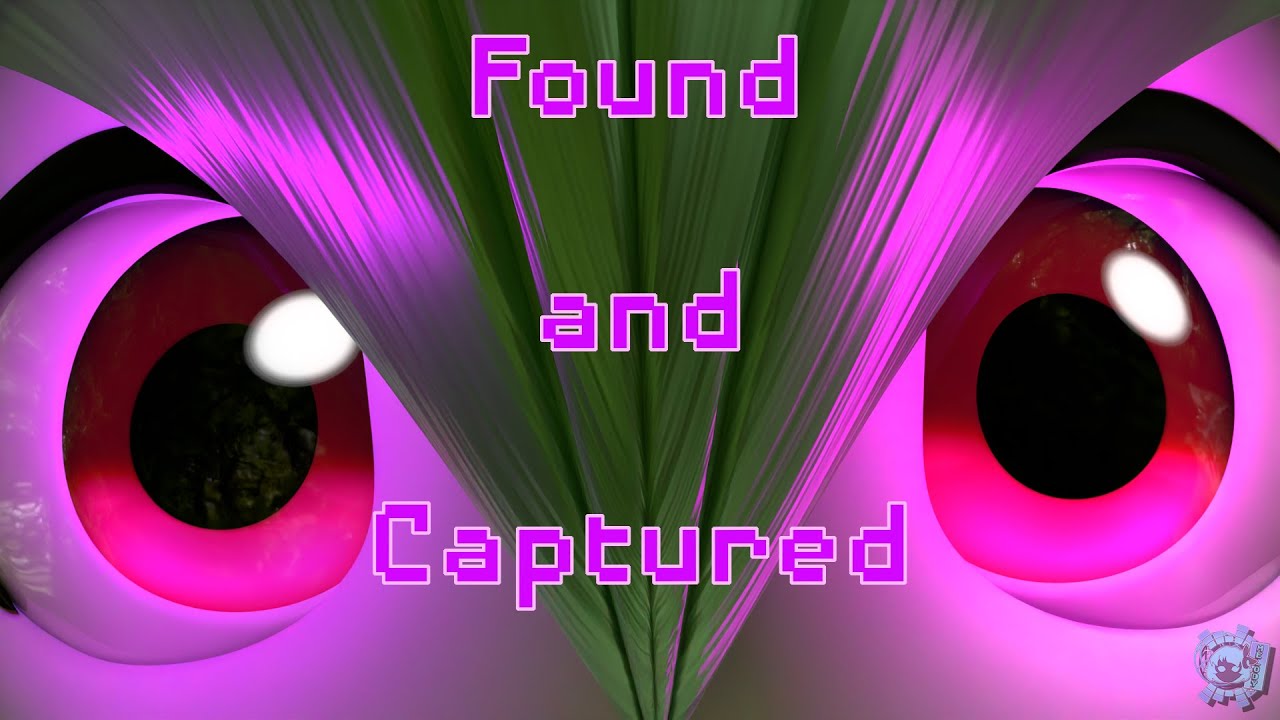 Found and Captured