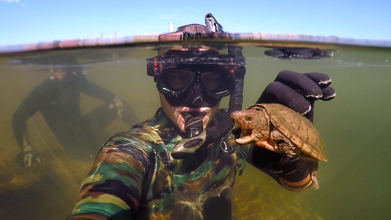 Found Knife, Razor Blade and $50 Swimbait Underwater in River! (Freediving) | DALLMYD