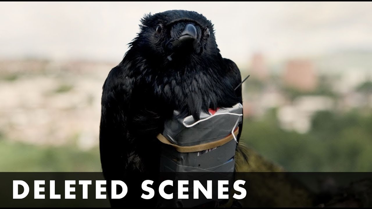 FOUR LIONS - Deleted Scenes - Starring Riz Ahmed