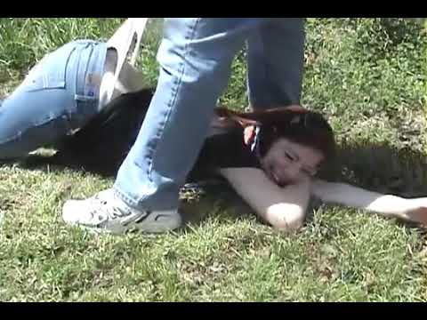 Fox Wedgie Park