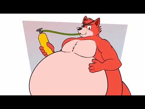 Foxy The pirate fox Belly Inflation