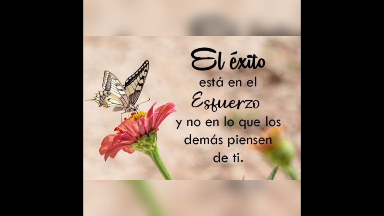 Frases de reflexión