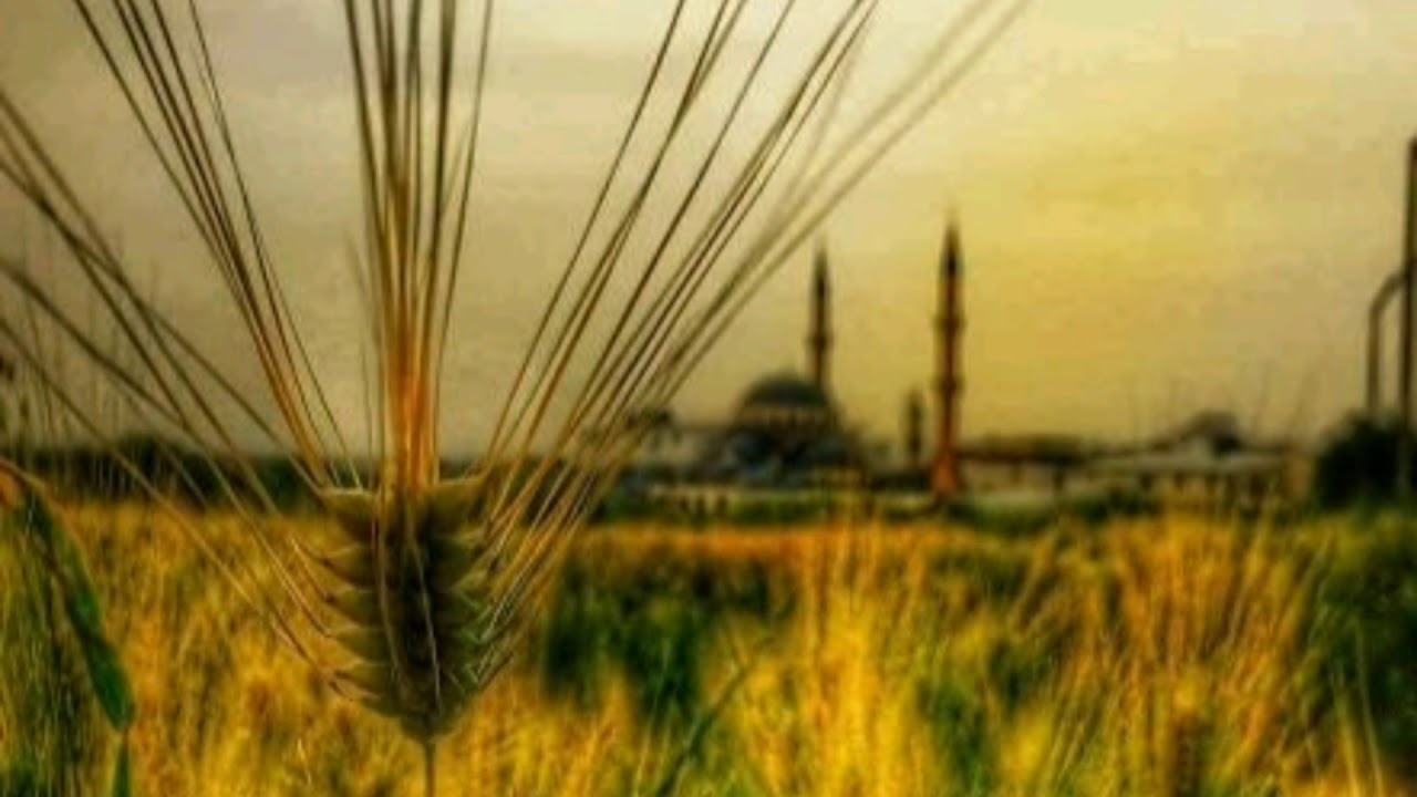 Fırat Kenarında Menzil [ Hafız Kemal ]