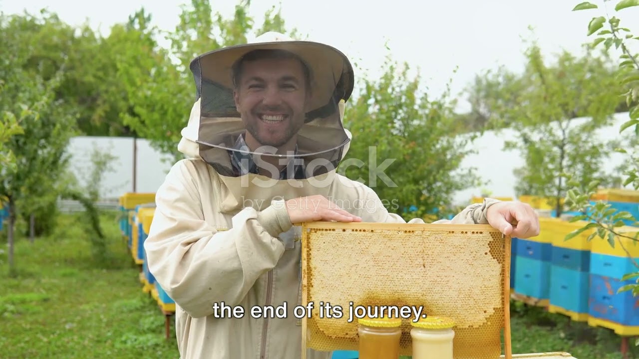 From Hive to Market: The Journey of Giant Forest Honey