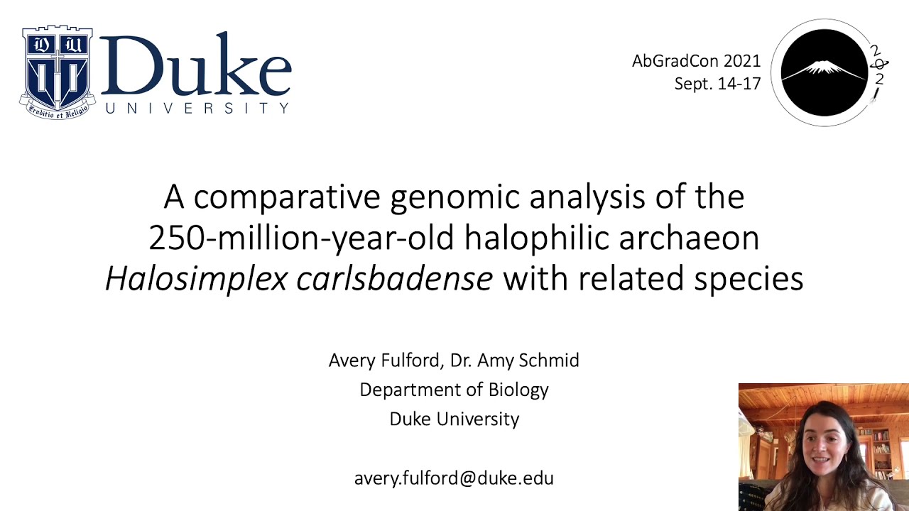 Fulford, Avery: Comparative genomic analysis of halophilic archaeon Halosimplex carlsbadense