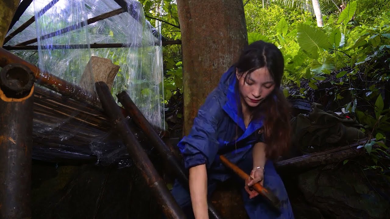 FULL 38 DAY THE AMAZONA GIRL SOLO CAMPING SURVIVAL IN THE RAIN FOREST - BUILDING SHELTER - ASMR