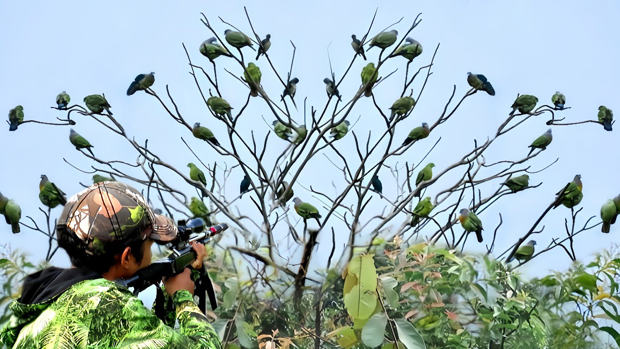 FULL COMPILATION😱😱HUNTING HUNDREDS OF PUNAI BIRDS IN THE BANYAN TREE