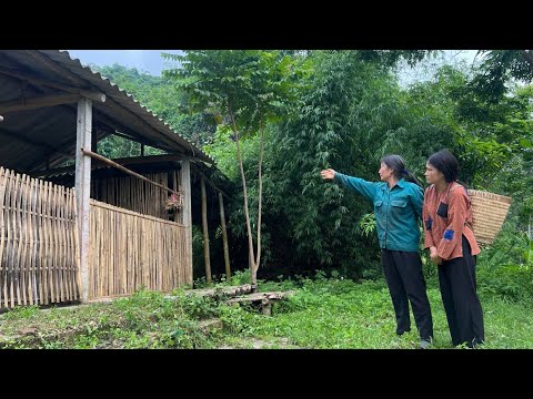 Full video: single mother who was evicted from her home is lucky to receive help and has a new life