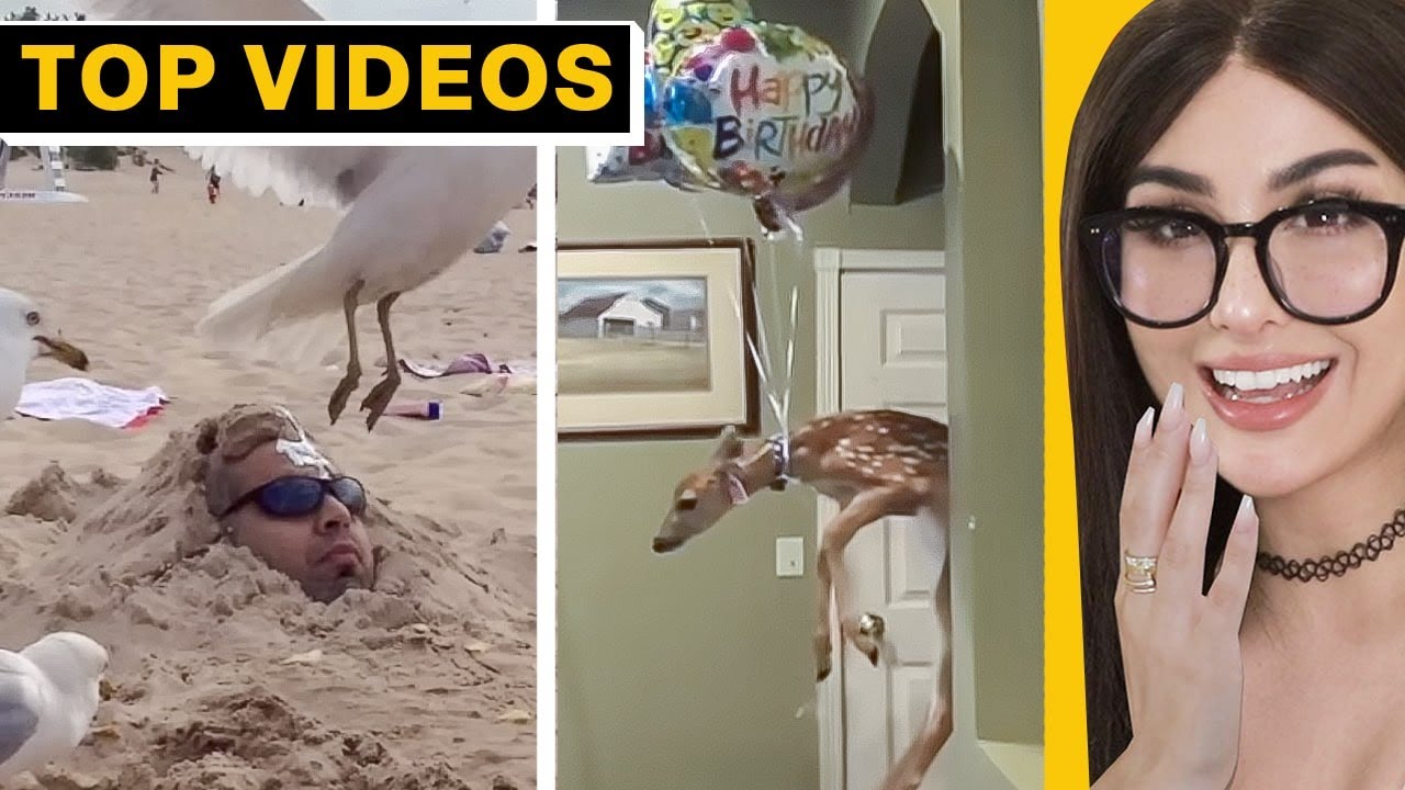 Funniest Moments That Will Brighten Your Day! | SSSniperWolf