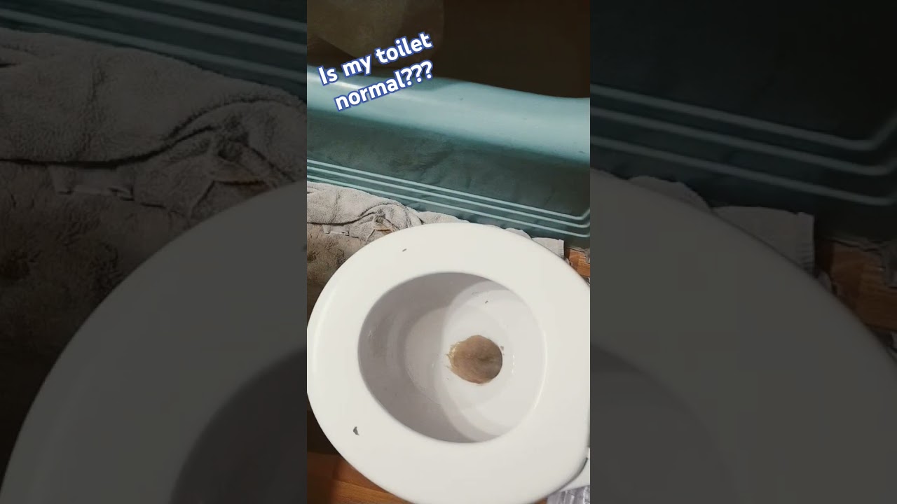 #funny #memes #bathroom #fart #comedy #furry