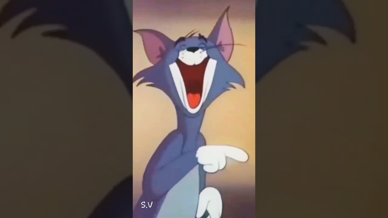 Funny Tom Laughing