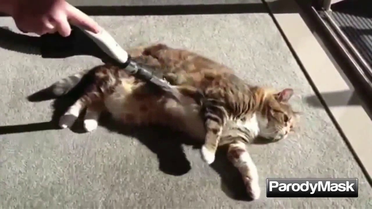 Funny Uldouz Vines and Instagram Videos|Awesome|very funny video clips