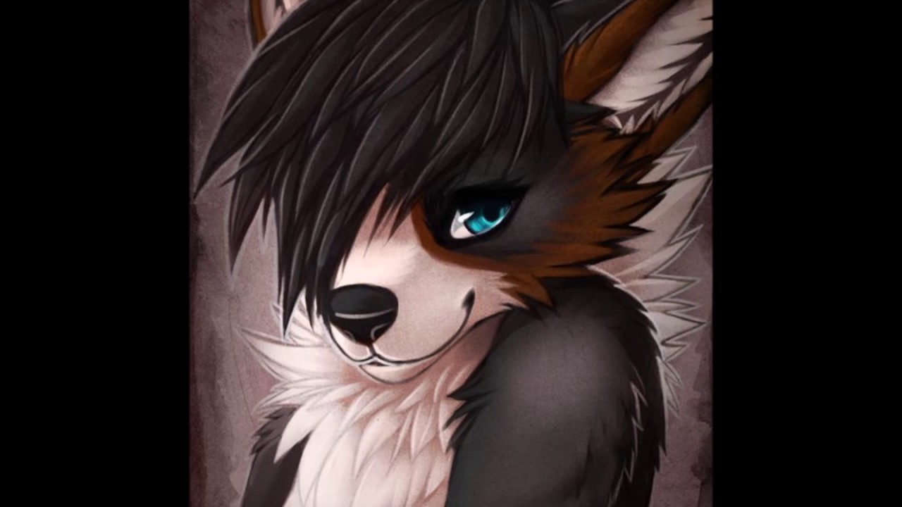 Furry - Shape Of You
