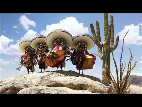 FX - Rango - Promo (2013)