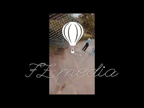 FZMEDiA