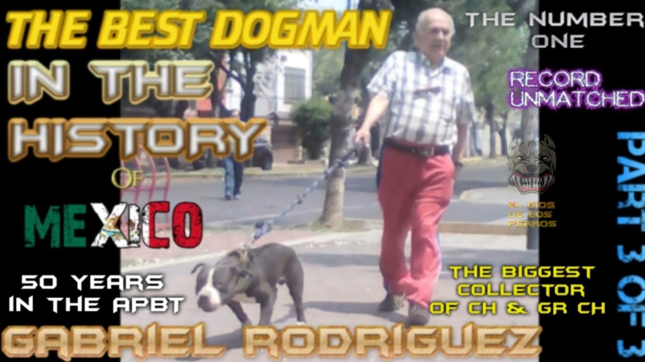 GABRIEL RODRIGUEZ ⭐The BEST DOGMAN in the HISTORY of MEXICO 🇲🇽  American Pit Bull Terrier Legends 3