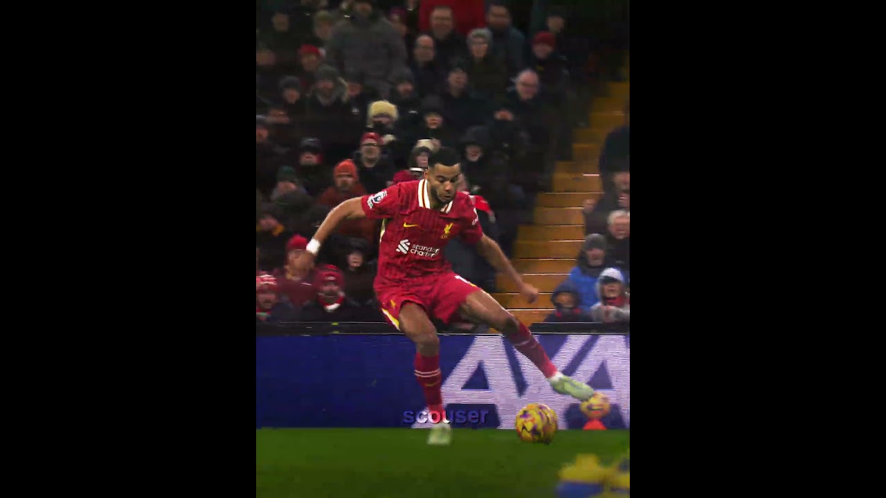 Gakpo's so goood😍| #football #liverpool #gakpo #fifa #united