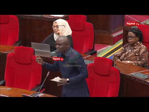 GAMBO ALIPUA HOJA NZITO SANA BUNGENI