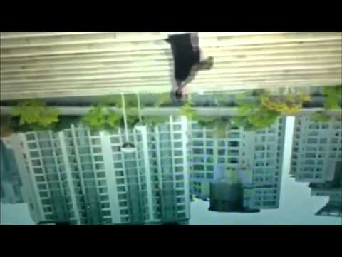 Gangnam Style Upside Down Version
