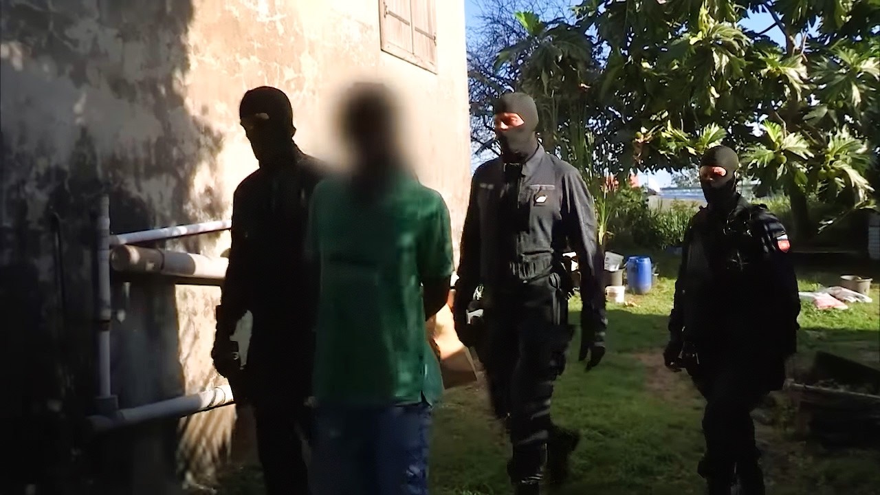 Gangs, Trafic et Chômage : L’ombre des Antilles