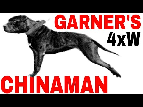 GARNER'S CHINAMAN 4xW - Dog Fighting History #pitbull #dogfight #dogbreed