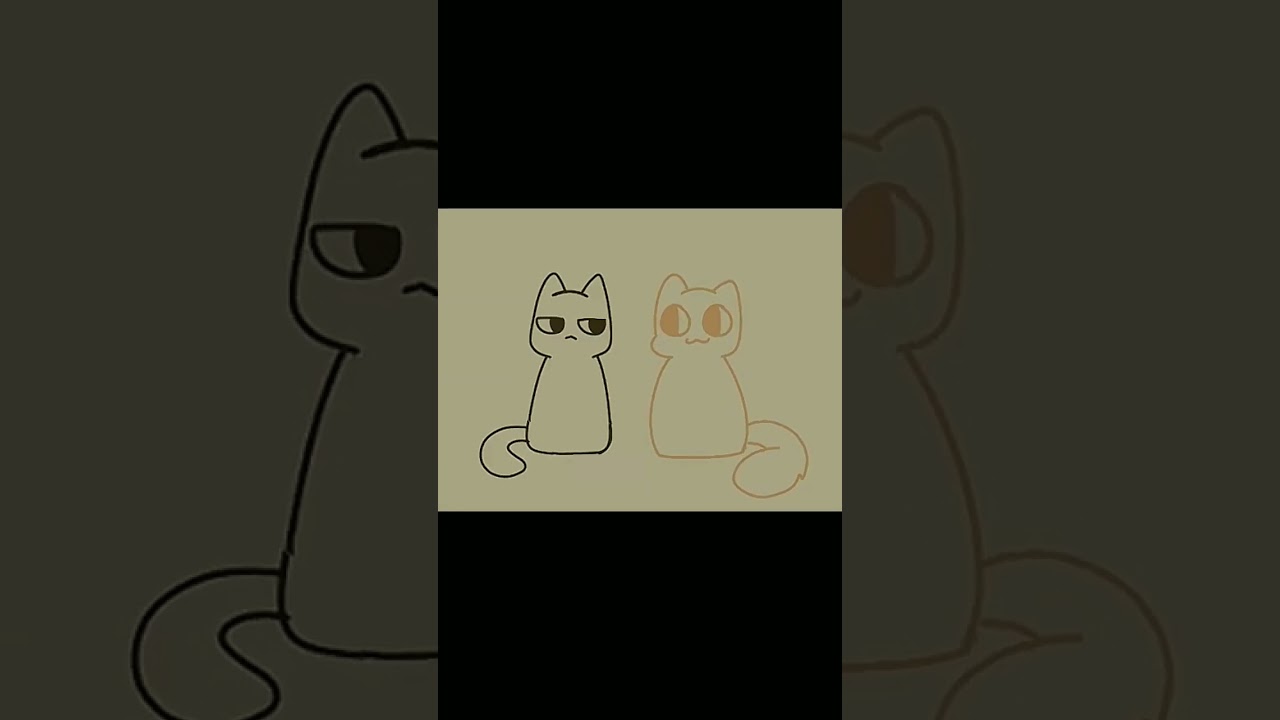 GATINHO FOFOS #gatos #fofinho #fofo #gatinhos #engraçado CREDITS: @alwxhoshi