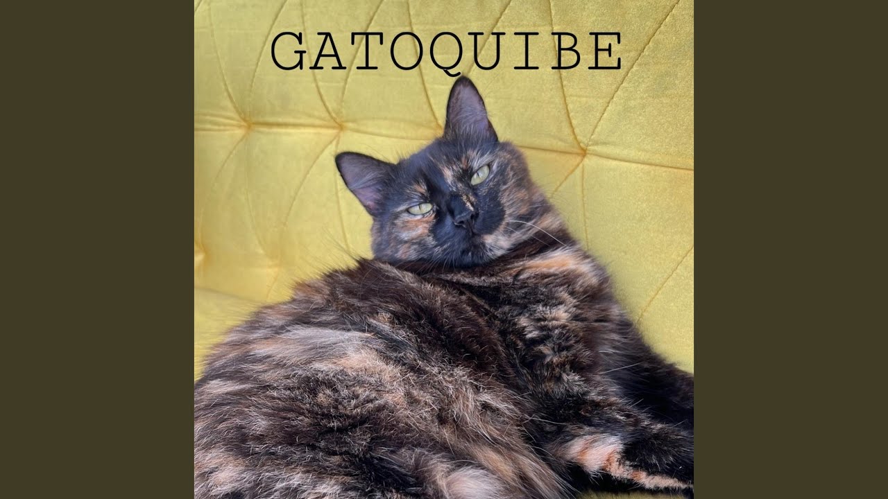 Gatoquibe