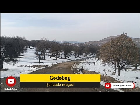 Gədəbəy rayonu Şəhzadə meşəsi #gədəbəy #gedebey #azerbaycan #azərbaycan #azerbaijan